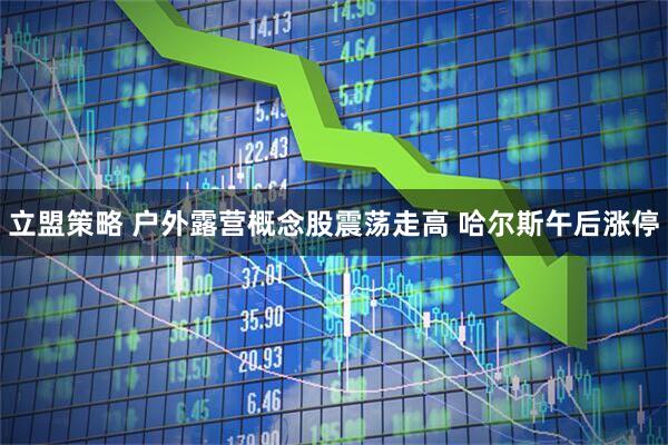 立盟策略 户外露营概念股震荡走高 哈尔斯午后涨停