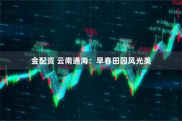 金配资 云南通海：早春田园风光美