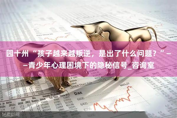 园十州 “孩子越来越叛逆，是出了什么问题？”——青少年心理困境下的隐秘信号_咨询室